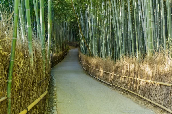 Chikurin-no-Michi (Bamboo Grove) ad Arashiyama a Kyoto — Foto Stock