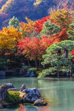 tenryuji sogenchi su birikintisi bahçe UNESCO Dünya Mirası Kyoto