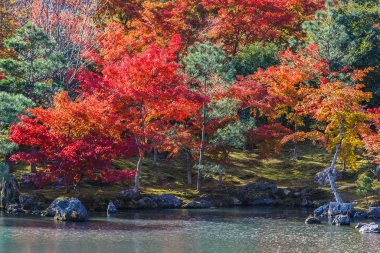 tenryuji sogenchi su birikintisi bahçe UNESCO Dünya Mirası Kyoto