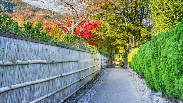 The Path to Chikurin-no-Michi (Bamboo Grove) at Arashiyama in Ky — Stock Photo, Image