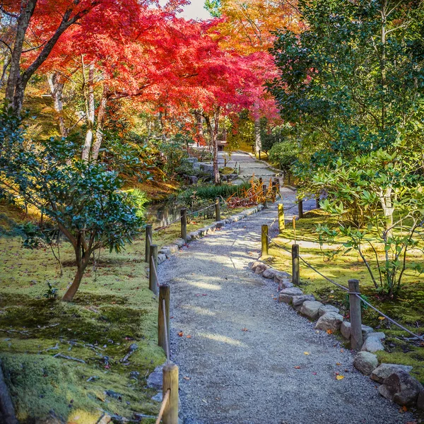 Tenryuji sogenchi staw ogród wpisanego na listę Światowego Dziedzictwa UNESCO w Kioto — Zdjęcie stockowe