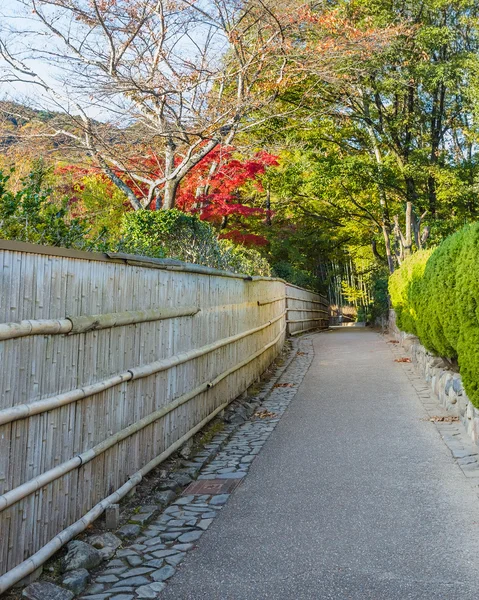 Chikurin-nie-michi (bambusowy gaj) w Arashiyama w Kioto — Zdjęcie stockowe