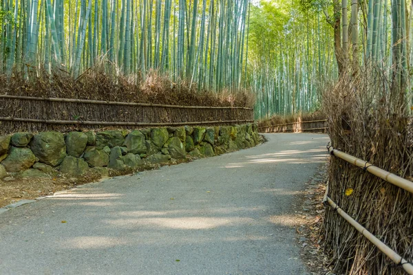 Chikurin-no-Michi (Bamboo Grove) en Arashiyama en Kyoto —  Fotos de Stock