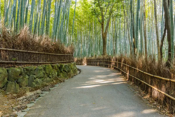 Chikurin-no-Michi (Bamboo Grove) en Arashiyama en Kyoto —  Fotos de Stock