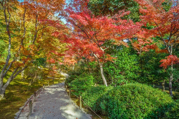 Jardim Tenryuji Sogenchi Património Mundial da UNESCO em Quioto — Fotografia de Stock