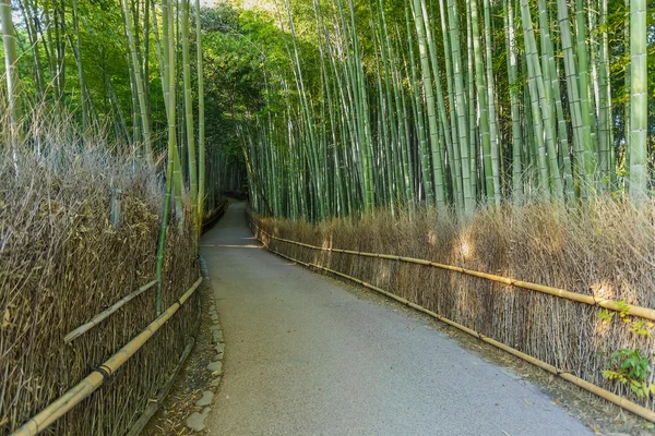 Chikurin-nie-michi (bambusowy gaj) w Arashiyama w Kioto — Zdjęcie stockowe