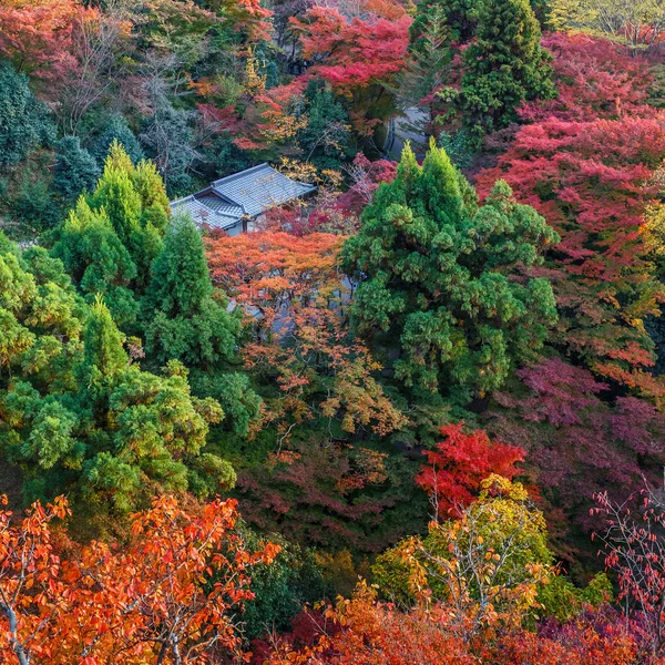 Kiyomizudera-Tempel in Kyoto — Stockfoto