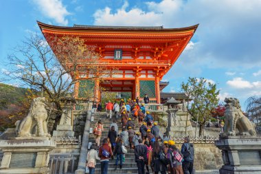 Fushimi Inari taisha tapınak Kyoto