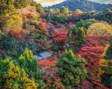 kiyomizudera Tapınağı Kyoto