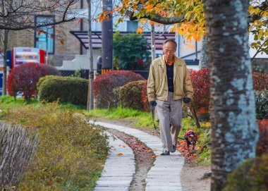 üst düzey Japon Kyoto