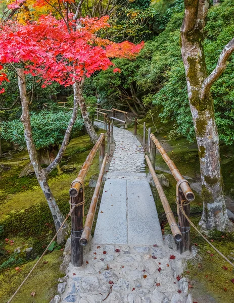 被选中的那 kaiyushiki，在京都银阁寺池塘漫步花园 — 图库照片