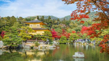 kinkuji - altın köşk Kyoto