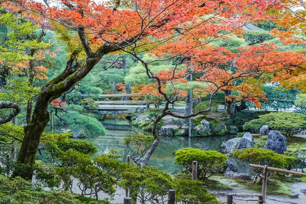被选中的那 kaiyushiki，在京都银阁寺池塘漫步花园 — 图库照片