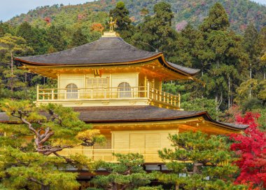 Kinkakuji - altın köşk Kyoto