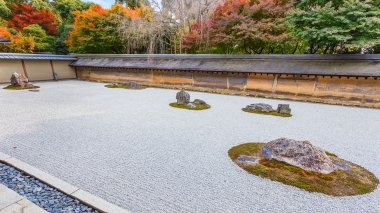 Zen Bahçe Kyoto ryoanji Tapınak