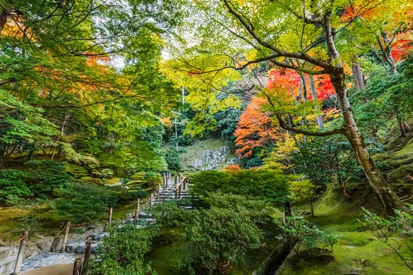 被选中的那 kaiyushiki，在京都银阁寺池塘漫步花园 — 图库照片