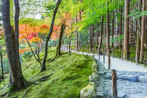 Chisen-kaiyushiki, Pond-stroll garden in Ginkaku-ji temple in Kyoto — Stock Photo, Image