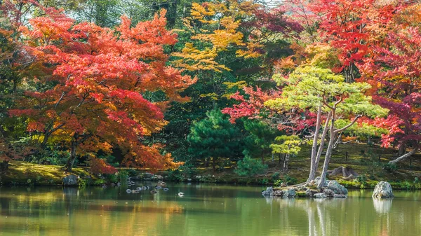 Kyoko-chi oder Spiegelteich Kinkaku-ji-Tempel in Kyoto — Stockfoto