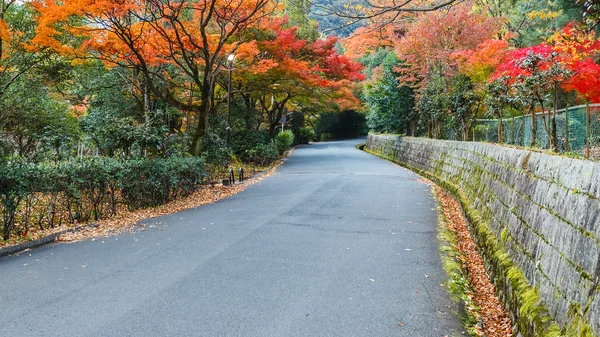 A Estrada no Parque Maukama em Kyoto — Fotografia de Stock