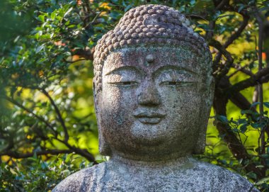Buda heykeli Kyoto ryoan-ji Tapınağı'nda taş