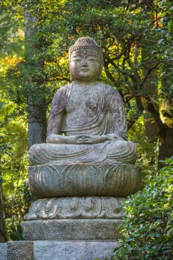 Buda heykeli Kyoto ryoan-ji Tapınağı'nda taş