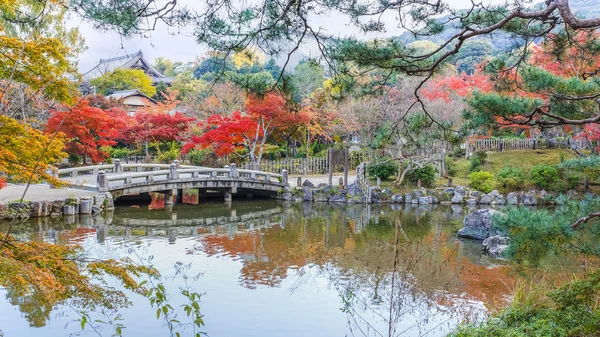 Maruyama koen (maruyama park) på hösten i kyoto — Stockfoto