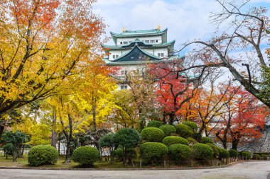 nogoya kale sonbaharda Japonya