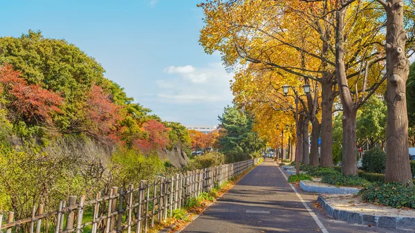 Chemin de randonnée le long du château de Nagoya en automne — Photo