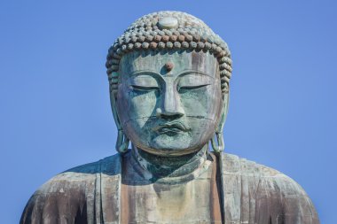 daibutsu - büyük Buda Kamakura kotokuin Tapınağı