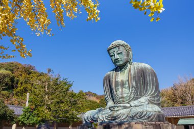 daibutsu - büyük Buda kotokuin tapınağın Kamakura, Japonya
