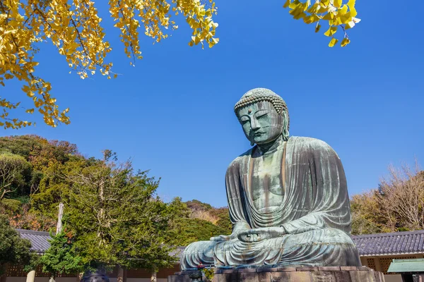 Daibutsu - büyük Buda kotokuin tapınağın Kamakura, Japonya — Stok fotoğraf