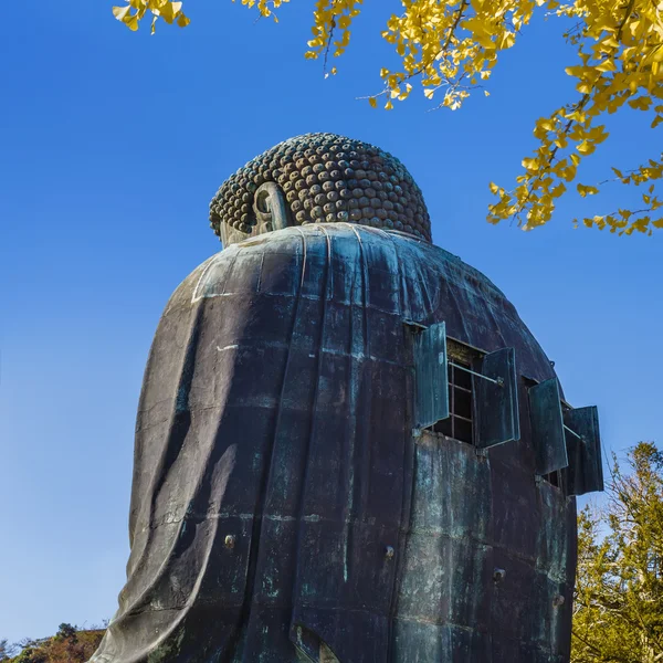 Daibutsu - Kamakura kotokuin Tapınağı'nda büyük Buda — Stok fotoğraf