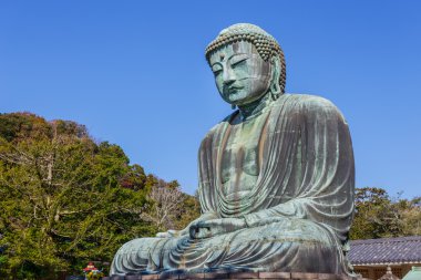 daibutsu - büyük Buda Kamakura kotokuin Tapınağı
