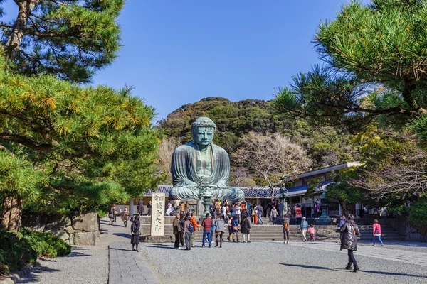 Daibutsu - El Gran Buda en el Templo Kotokuin en Kamakura —  Fotos de Stock