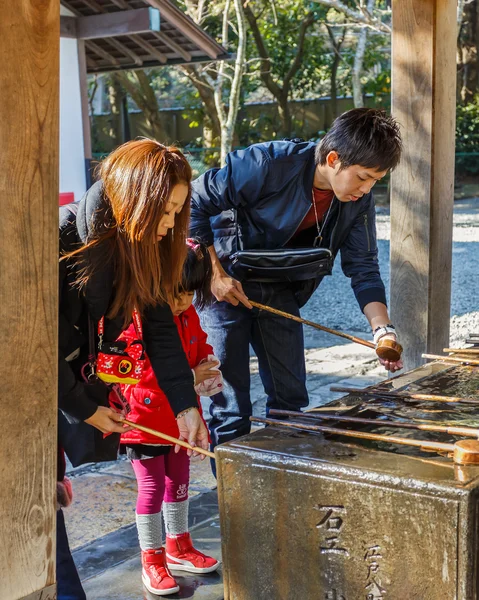 洗面台、鎌倉の高徳寺でカワガラス — ストック写真