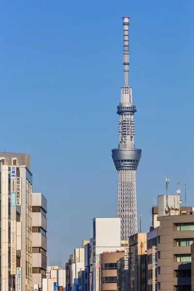 Tokyo, Japon - 24 novembre 2013 : Tokyo Sky Tree ouvre ses portes le 22 novembre 2013 — Photo