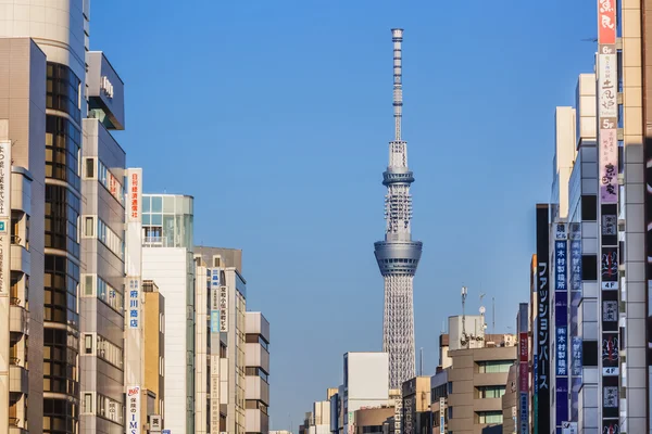 Árbol de Tokio —  Fotos de Stock