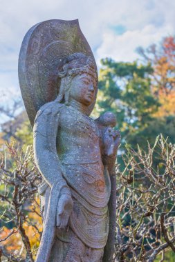 Kannon Bodhisattva - şefkat Kamakura Haseder tapınağında efendisi