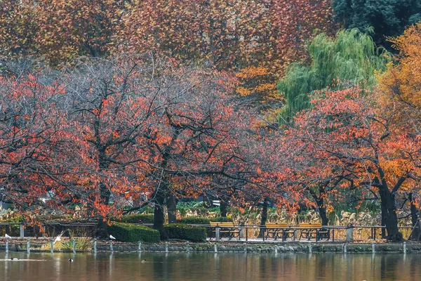 Parque de Ueno en Tokio — Foto de Stock