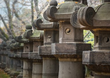 Tokyo'daki Ueno Park Toshogu tapınak taş fenerler