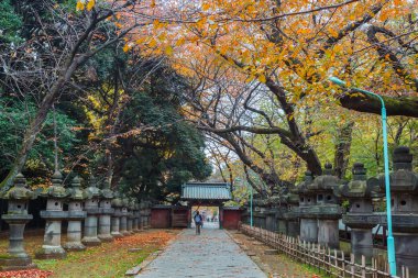 Tokyo'daki ueno Park toshogu Tapınak
