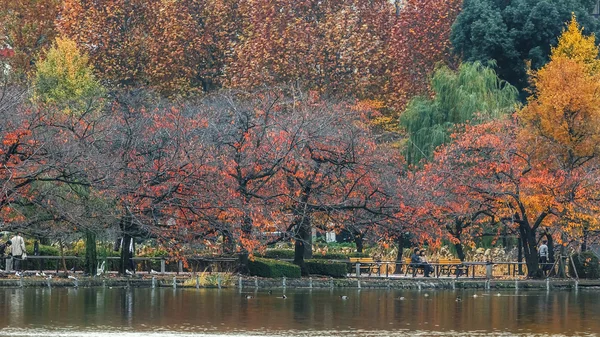 Tokyo 'daki ueno parkı. — Stok fotoğraf