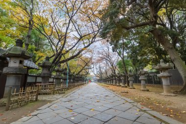 Tokyo'daki ueno Park toshogu Tapınak