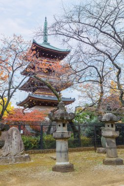 Tokyo'daki ueno Park kaneiji Tapınağı pagoda beş katlıdır