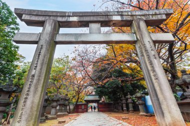 Toshogu tapınak Tokyo'daki Ueno Park bakım altında