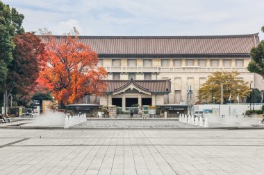 Tokyo Ulusal Musem