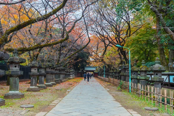 Jigokudani dolina na park ueno w Tokio — Zdjęcie stockowe