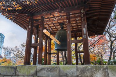 Gruuthuse Müzesi, Tokyo zojoji temple
