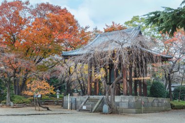 Gruuthuse Müzesi, Tokyo zojoji temple