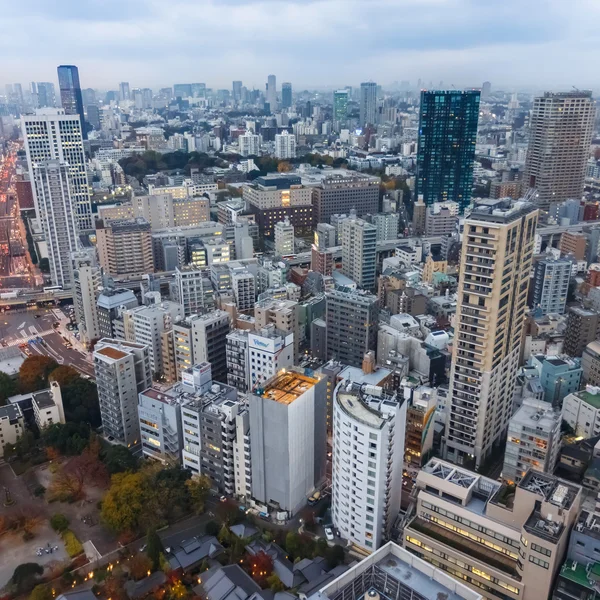 View from Tokyo Tower — Stock Photo, Image